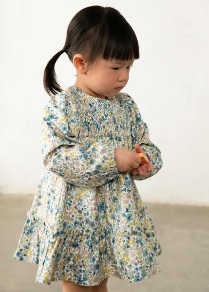Blue Hues Velvet Dress