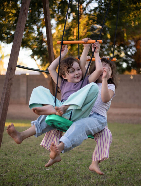 Adventure Skate Board Swing
