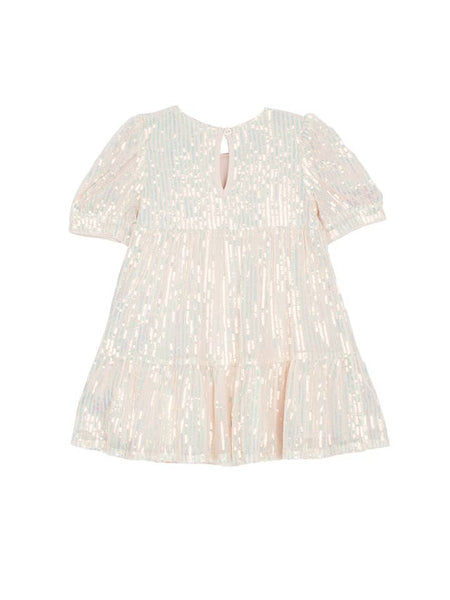 Taylor Sequined Dress