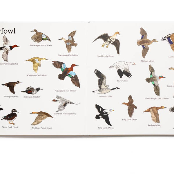 Mossy Oak Edition the Big Book of Hunting