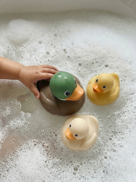 Itzy Ducky Family - Mallard