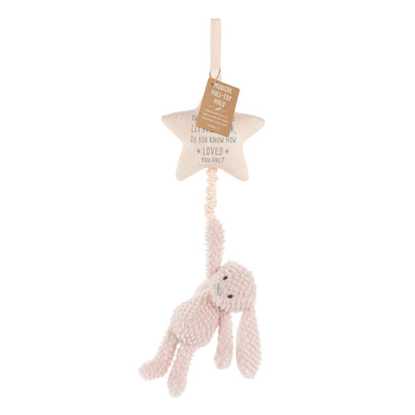 Baby Musical Pull Toy