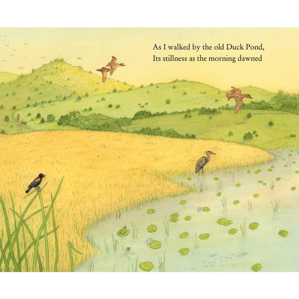 On Duck Pond