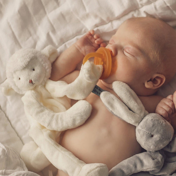 Silly Buddy Animal Lovey  Pacifier Holder