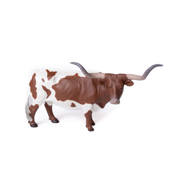 Texas Longhorn Steer Red/White