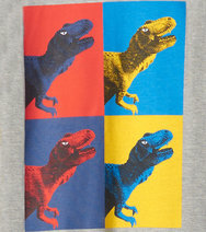 Boys Dino Block Graphic T-Shirt