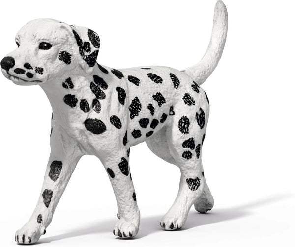 Horse Club Lakeside Truck and Trailer