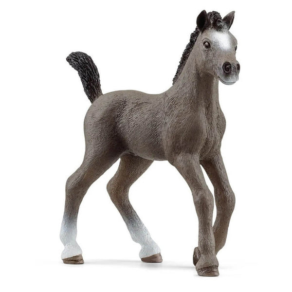 Schleich Selle Français Foal 13957