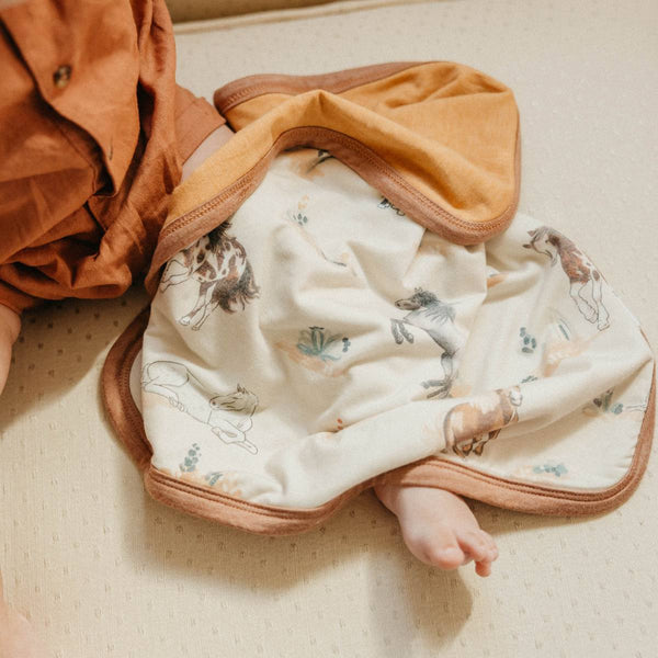 CP Montana Security Blanket Set (2-Pack)