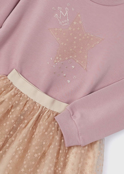 Rose Star Tulle skirt and sweatshirt set