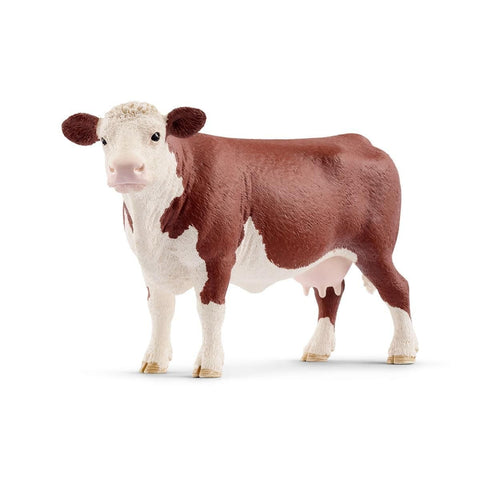 Hereford Cow-13867
