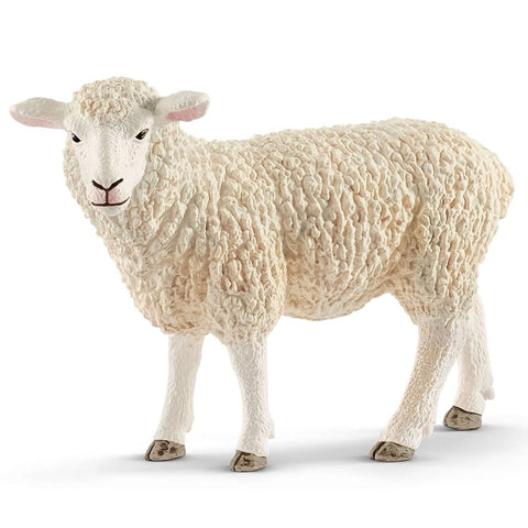 Sheep-13882
