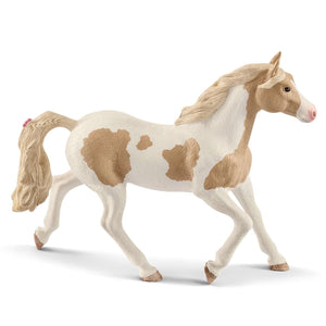 Paint Horse Mare 13884