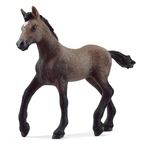 Peruvian Paso Foal-13954