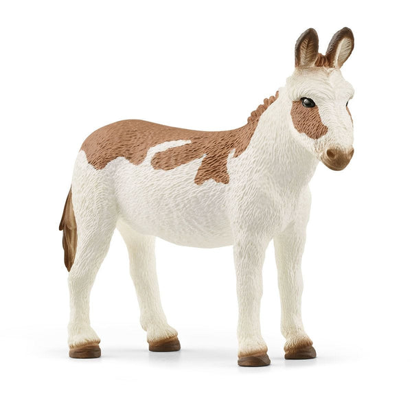 American Spotted Donkey-13961