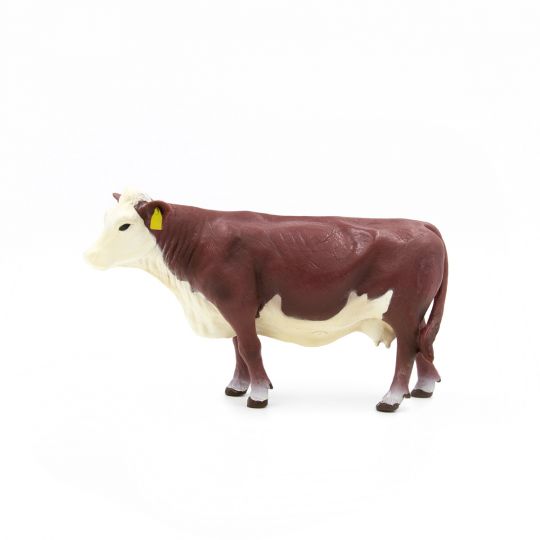 Hereford Cow