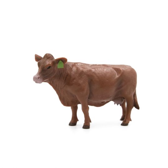 Red Angus Cow