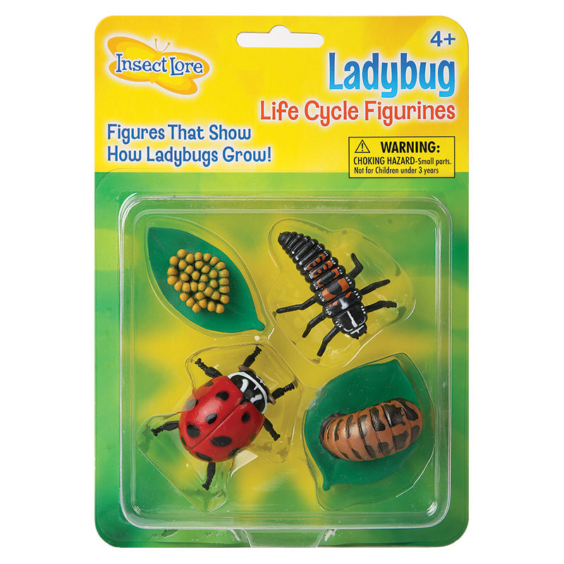 Ladybug- Life Cycle Figurines