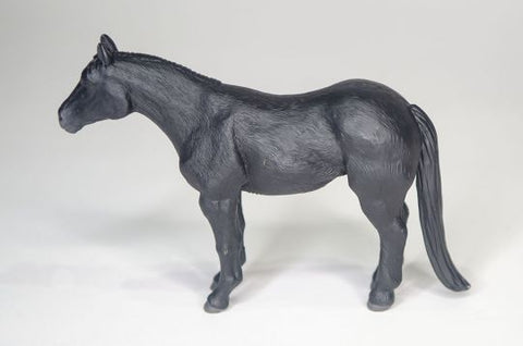Quarter Horse - Black
