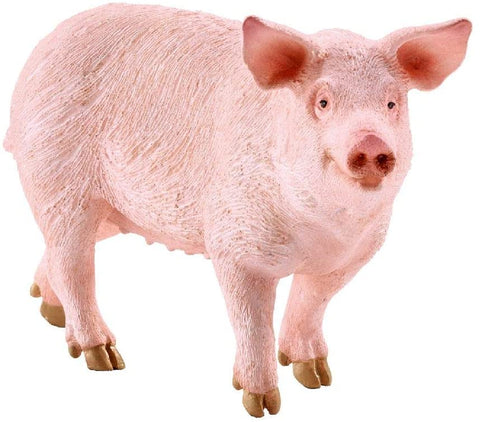 Farm World Pig