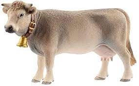 Braunvich Cow