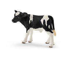 Holstein Calf 13798