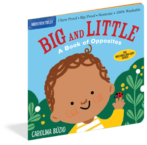 Big and Little: A Book of Opposites (Indestructibles Series)