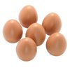 Sensory Play Eggs (Set of 6)