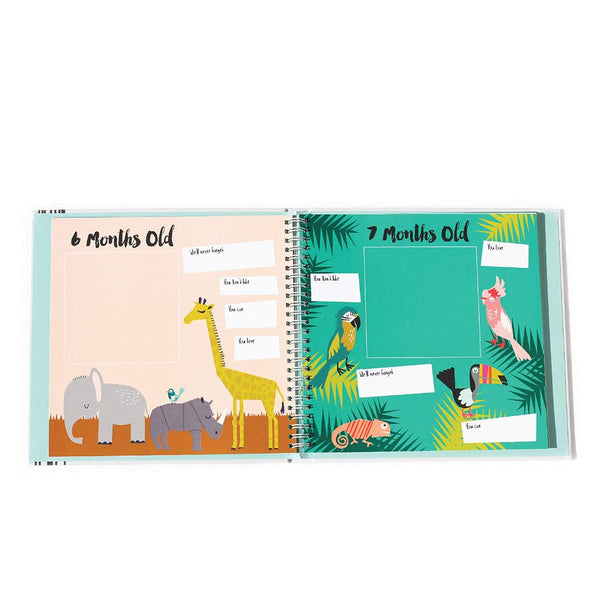 Little Animal Memory Book