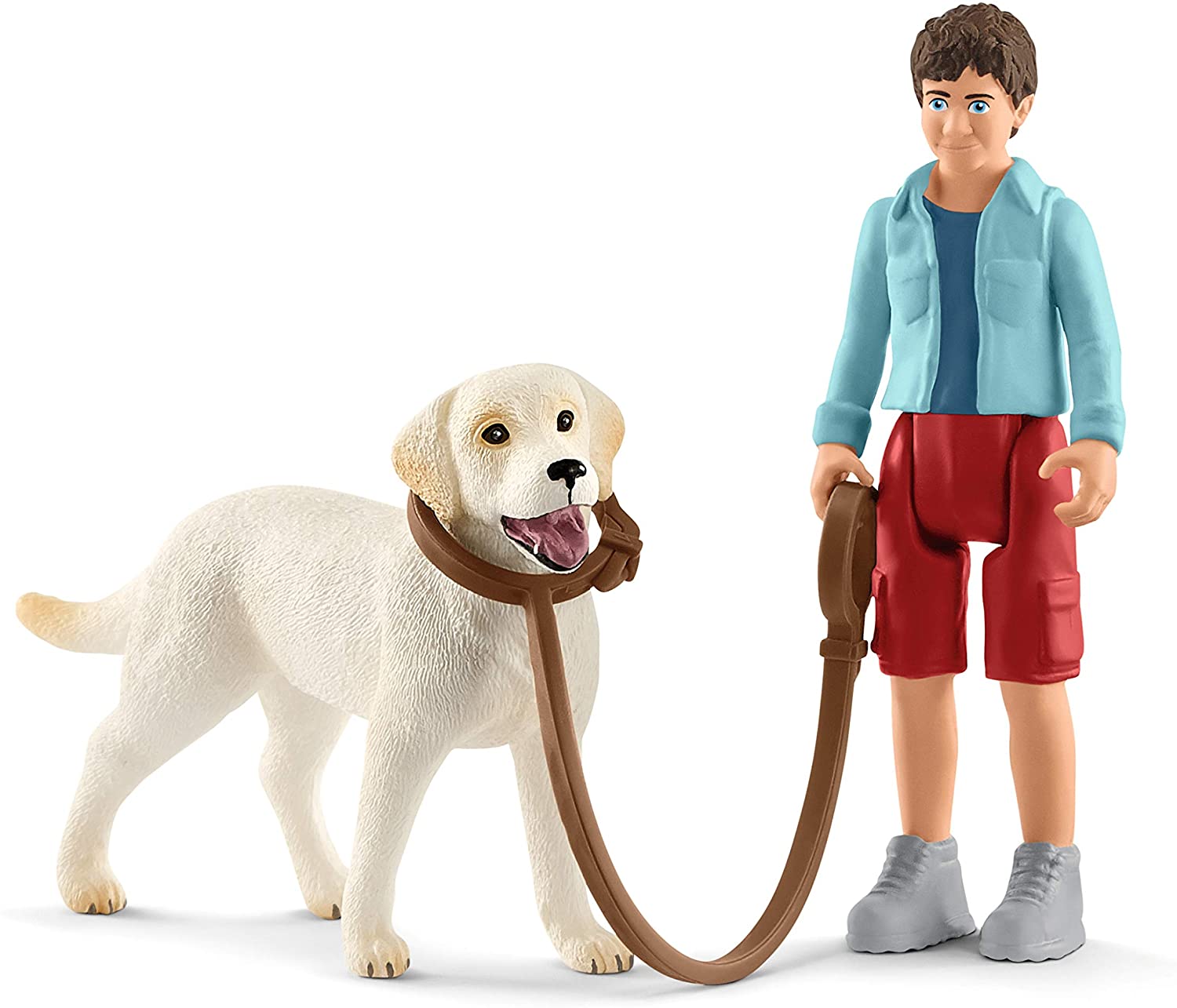 Boy Walking with Labrador Retriever