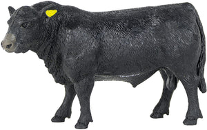 Angus Bull